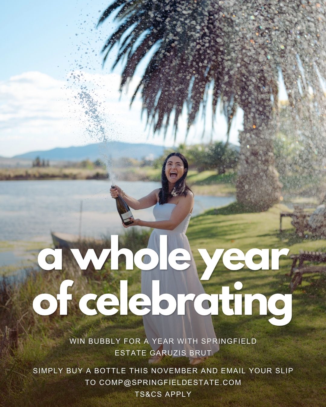 WIN BUBBLY FOR A YEAR – Ts & Cs